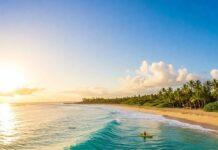 Top 5 Water Sports You Should Try at Least Onc Tropical beach activities