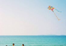 The Best Beaches for Families: Fun, Safety, and Adventure Family picnic on sunny beach