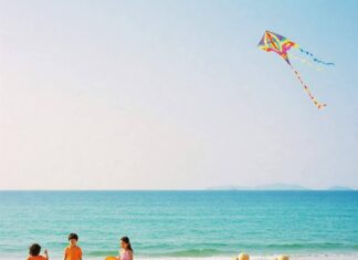 The Best Beaches for Families: Fun, Safety, and Adventure Family picnic on sunny beach