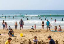Top 10 Fun Beach Activities for Families and Adventurers Lively beach scene