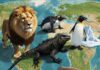 The Best Places in the World for Incredible Wildlife Encounters Global Wildlife Diversity