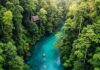 Why Eco-Tourism Is the Future of Sustainable Travel Rainforest River Kayaking