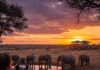 Eco-Friendly Wildlife Travel: Plan a Sustainable Adventure Elephants at Sunset