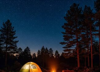 Camping Spots Near Major Cities: Top Picks for Quick Escapes Serene Campsite Under Starry Sky