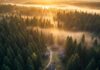 Top Forest Retreats to Reconnect with Nature in 2025 Forest Retreat Sunrise: Cabins in Misty Woods